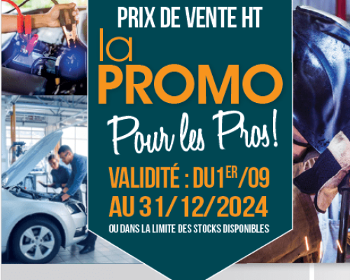 promo PRO 2024